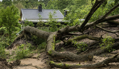 Sturmschaden