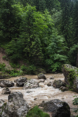 Fototapeta na wymiar Wild nature landscape, scenery of Bicaz river flow with big stones in Carpathian mountains, Romania