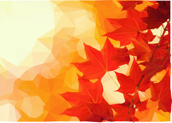 October leaves vector illustration