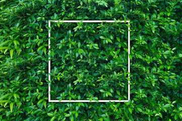 Creative layout with white frame on nature. Flat lay