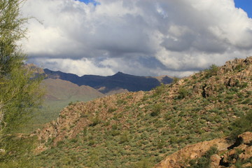 Fototapeta premium Landscapes 