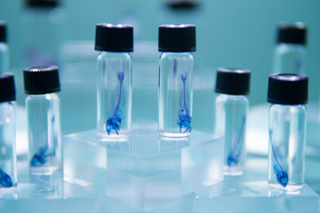 Transparent specimen