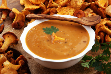Mushroom cream soup with fresh chanterelles and herbs on a rustic background. Autumn concept.