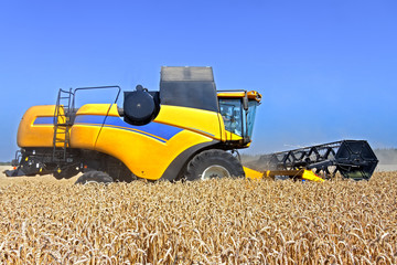 Combine harvests wheat on a field in sunny summer day