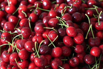 Large cherry