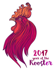 Rooster, Chinese zodiac symbol of the 2017 year. Colorful vector illustration isolated on white. Zentangle inspired. Head of cock in red colors. Design for t-shirt print,
