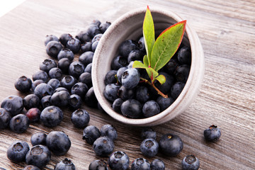 Freshly picked blueberries in wooden bowl. Juicy and fresh blueberries with green leaves on rustic table. Bilberry on wooden Background. Blueberry antioxidant. Concept for healthy eating and nutrition