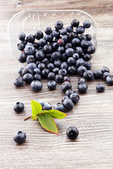 Freshly picked blueberries.Juicy and fresh blueberries with gree