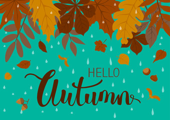 autumn background with leaves on blue rain drop texture