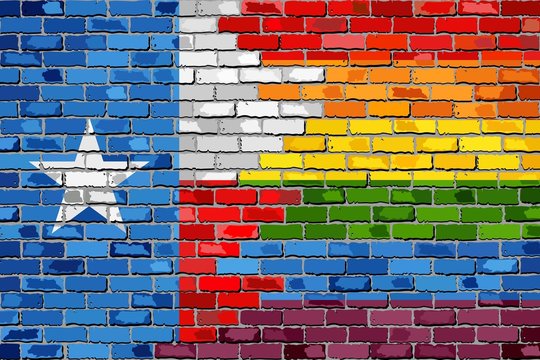 Brick Wall Texas and Gay flags - Illustration,
Rainbow flag on brick textured background, 
Abstract grunge Texas Flag and LGBT flag