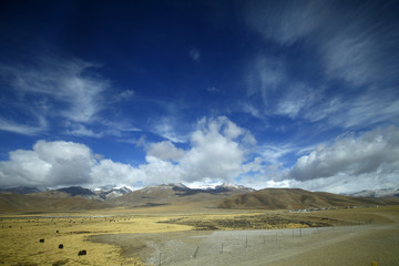 The blue sky white clouds and grassland snow mountain landscape