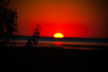 Red sunset near pond