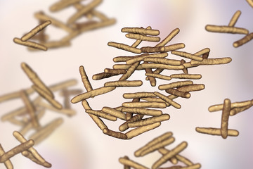 Mycobacterium avium-intracellulare, MAI, non-tuberculous mycrobacteria which cause opportunistic infections in HIV-infected patients, 3D illustration