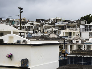 Karibik, kleine Antillen, Französische Antillen, Guadeloupe, Grande-Terre, Gekachelte Gräber,...