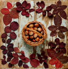 Flat lay frame of autumn crimson leaves with basket walnuts on a blue wooden background.
