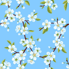 Бесшовный векторный узор из веток весенней цветущей яблони с белыми цветами и листьями на фоне голубого неба