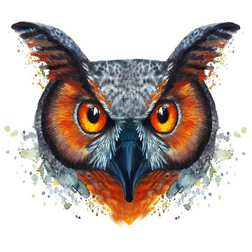 A drawing of a night owl, painted by watercolors, an owl with a bright coloring, orange bloody eyes