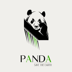 Panda vector illustration icon