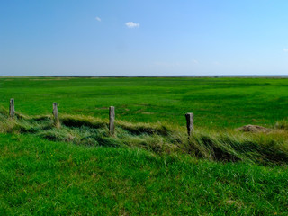 Hallig Oland