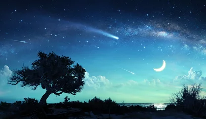 Deurstickers Vallende sterren in een fantasielandschap & 39 s nachts © Romolo Tavani