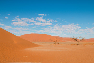Fototapeta na wymiar Beautiful desert landscape around Sossusvlei, Namibia, Africa