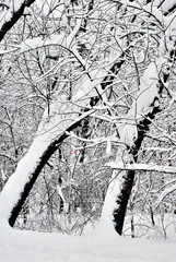 Winter in Bulgaria - Sofia