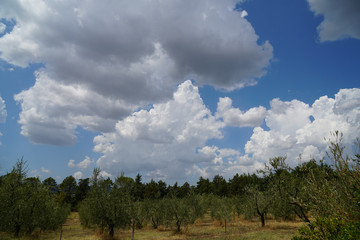 Obraz premium Italien Toskana Landschaft Wolken Himmel