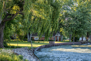 Willows by the lake