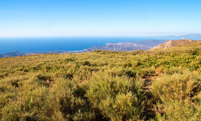 Fototapeta premium Paysages de corse au col de Bataille (Pioggiola)