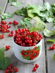 Red currant