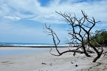 Avellanas beach, Guanacaste , costa rica
