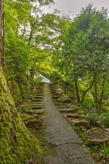 Obraz premium 石段（HDR）