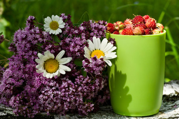 Obraz na płótnie Canvas Herbs bouquet and cup of wild strawberry