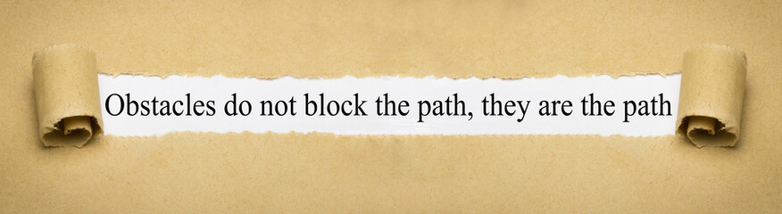 Obstacles do not block the path, they are the path