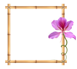Реалистичная баухиния (орхидея), квадратная рамка из бамбука.