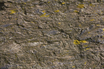 Stein Texture Felsen 