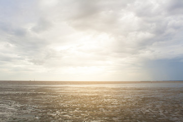 Mangrove with the sky, with stick in the dirt, silence and desolation.