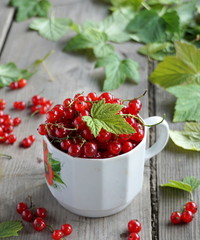 Red currant