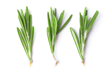 Fresh rosemary on a white background