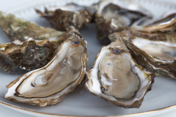 Huîtres