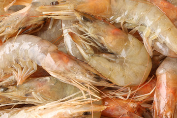Fresh shrimps
