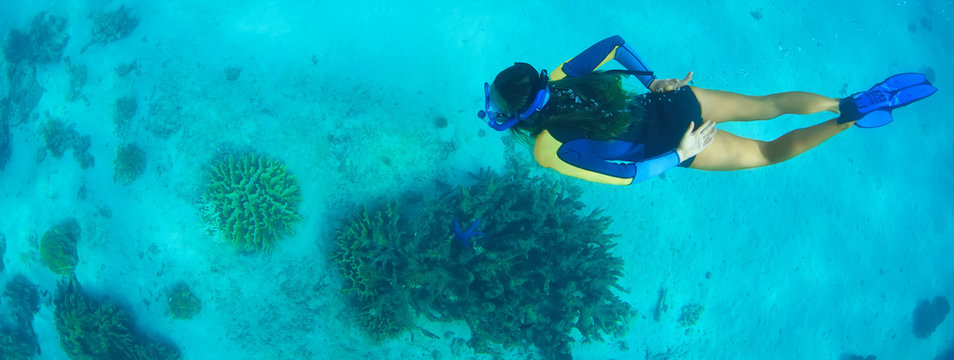 Snorkeller swimming underwater above reef