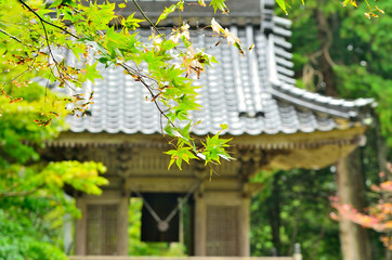 日本の寺の風景