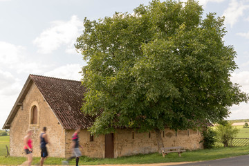 Scheune mit Joggern und Baum