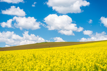 Obraz premium Springtime panorama