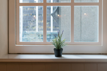 Naklejka premium Lavender plant in terracotta pot on the window