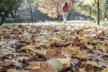 woman walking at park in autumn
