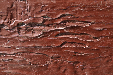 Fototapeta premium wood is painted with dark brown paint, new paint