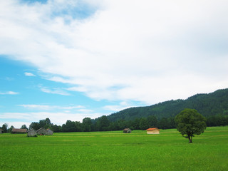 牧歌的な風景　草原と小さな家