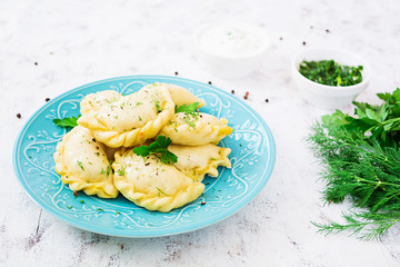 Delicious dumplings with cabbage on white background